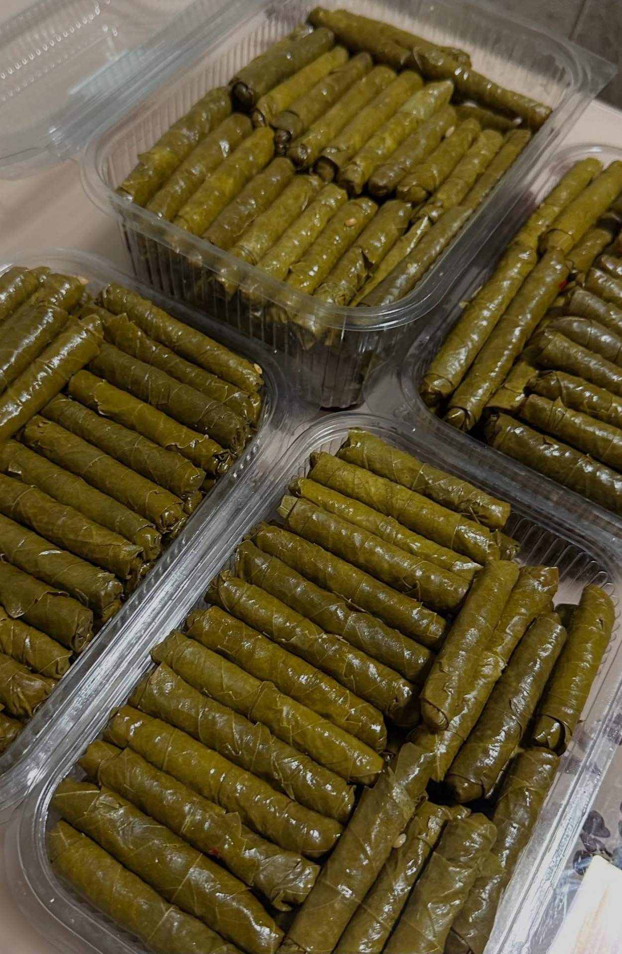 Sarma kg